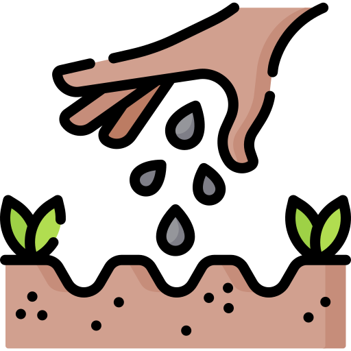 growing-seed.png