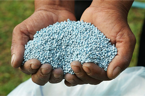 person-holding-fertiliser-in-hands.jpg